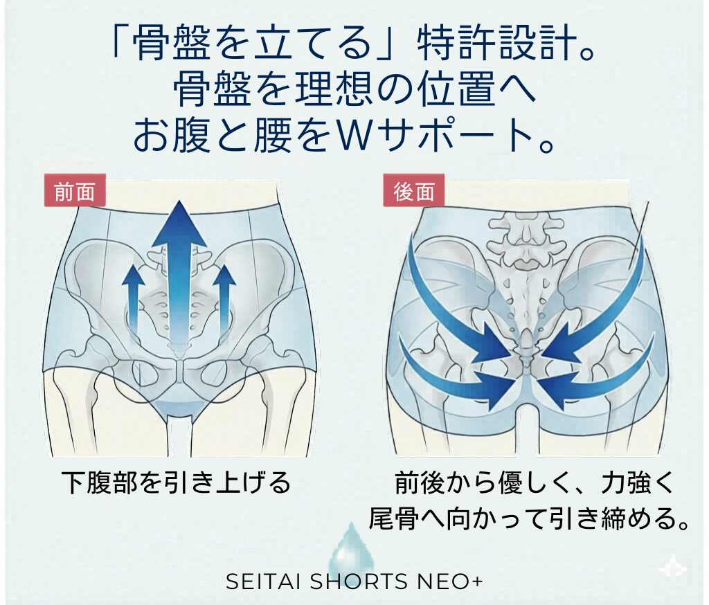 「骨盤を立てる」特許設計