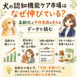 認知機能ケア市場
