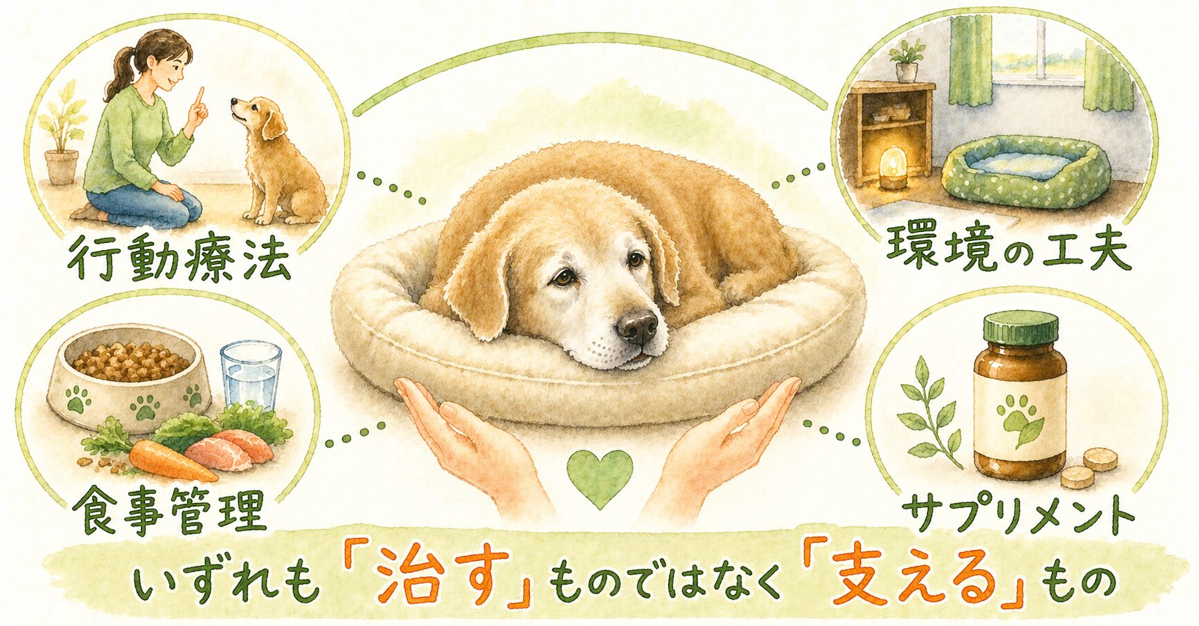 「早期ケア」への関心