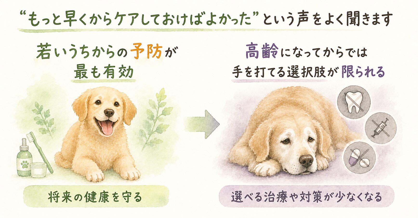 若いうちからの予防が最も有効
