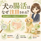 腸内細菌研究と市場変化