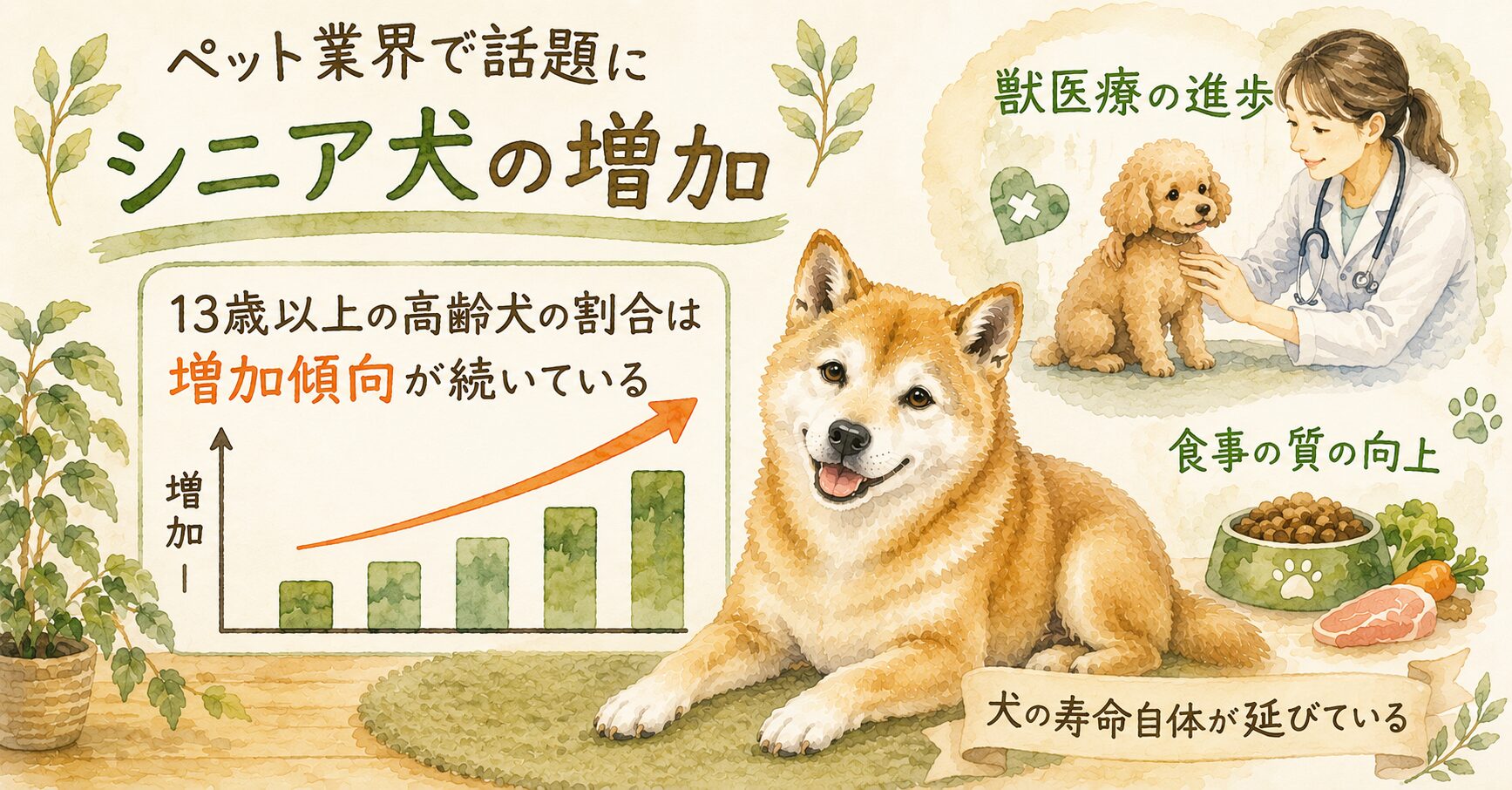 シニア犬の増加が話題